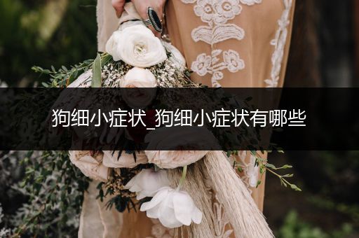 狗細(xì)小癥狀_狗細(xì)小癥狀有哪些