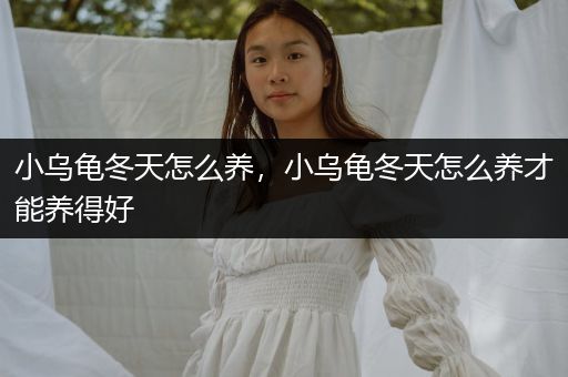 小烏龜冬天怎么養(yǎng)，小烏龜冬天怎么養(yǎng)才能養(yǎng)得好