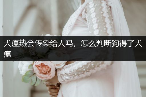 犬瘟熱會傳染給人嗎，怎么判斷狗得了犬瘟