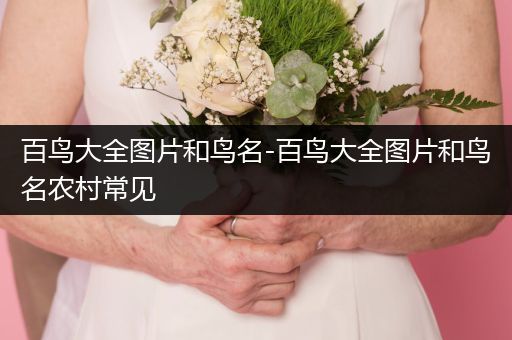 百鳥大全圖片和鳥名-百鳥大全圖片和鳥名農(nóng)村常見