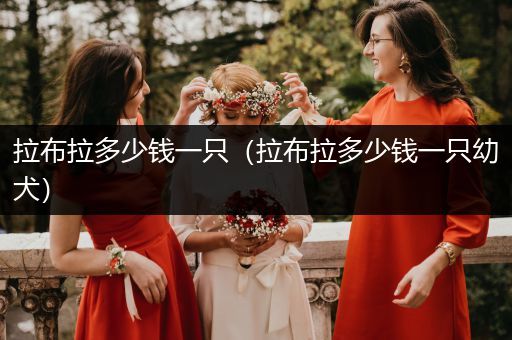 拉布拉多少錢一只（拉布拉多少錢一只幼犬）