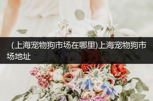 (上海寵物狗市場在哪里)上海寵物狗市場地址