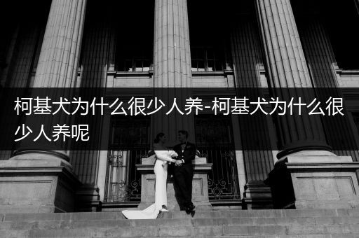 柯基犬為什么很少人養(yǎng)-柯基犬為什么很少人養(yǎng)呢
