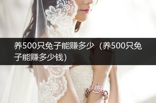 養(yǎng)500只兔子能賺多少（養(yǎng)500只兔子能賺多少錢）