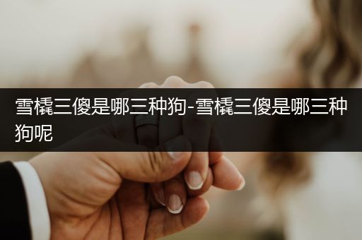 雪橇三傻是哪三種狗-雪橇三傻是哪三種狗呢