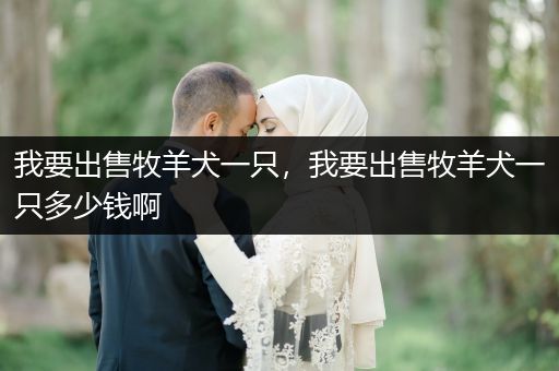 我要出售牧羊犬一只，我要出售牧羊犬一只多少錢(qián)啊