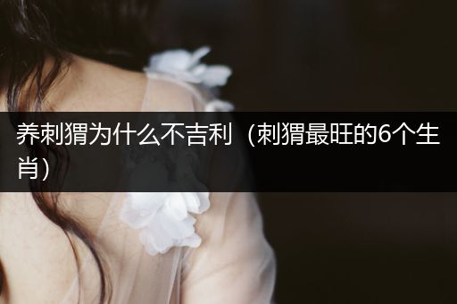 養(yǎng)刺猬為什么不吉利(刺猬最旺的6個生肖)