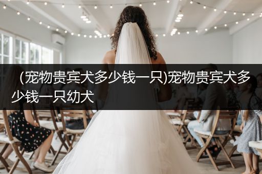 （寵物貴賓犬多少錢一只)寵物貴賓犬多少錢一只幼犬