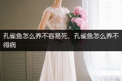 孔雀魚怎么養(yǎng)不容易死，孔雀魚怎么養(yǎng)不得病