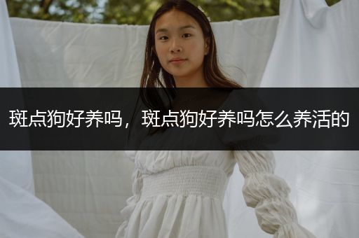 斑點(diǎn)狗好養(yǎng)嗎，斑點(diǎn)狗好養(yǎng)嗎怎么養(yǎng)活的