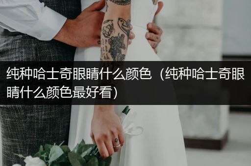 純種哈士奇眼睛什么顏色（純種哈士奇眼睛什么顏色最好看）