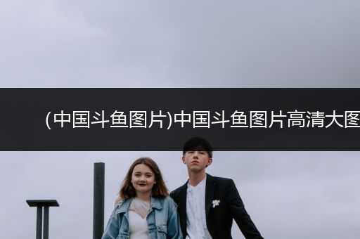 （中國(guó)斗魚圖片)中國(guó)斗魚圖片高清大圖