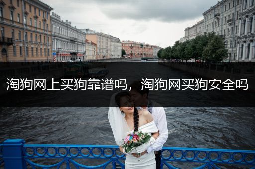 淘狗網(wǎng)上買狗靠譜嗎，淘狗網(wǎng)買狗安全嗎