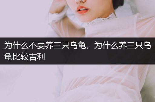 為什么不要養(yǎng)三只烏龜，為什么養(yǎng)三只烏龜比較吉利