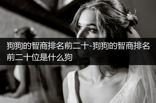 狗狗的智商排名前二十-狗狗的智商排名前二十位是什么狗