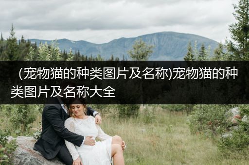 (寵物貓的種類圖片及名稱)寵物貓的種類圖片及名稱大全