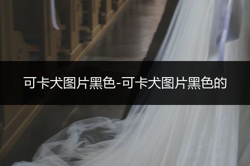 可卡犬圖片黑色-可卡犬圖片黑色的