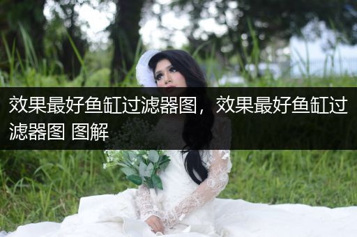 效果最好魚缸過濾器圖，效果最好魚缸過濾器圖 圖解