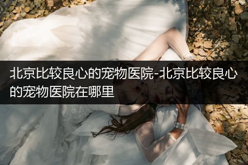 北京比較良心的寵物醫(yī)院-北京比較良心的寵物醫(yī)院在哪里