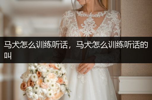 馬犬怎么訓(xùn)練聽話，馬犬怎么訓(xùn)練聽話的叫