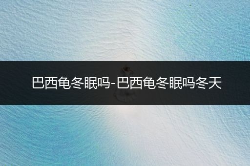 巴西龜冬眠嗎-巴西龜冬眠嗎冬天