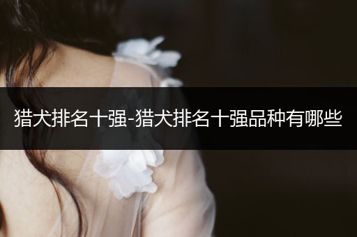 獵犬排名十強(qiáng)-獵犬排名十強(qiáng)品種有哪些