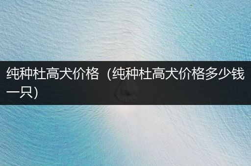 純種杜高犬價格（純種杜高犬價格多少錢一只）