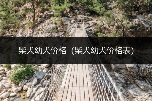 柴犬幼犬價(jià)格（柴犬幼犬價(jià)格表）