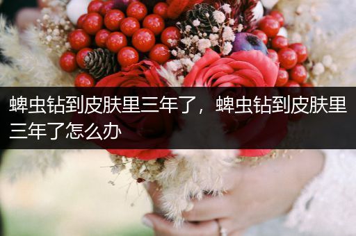 蜱蟲鉆到皮膚里三年了，蜱蟲鉆到皮膚里三年了怎么辦