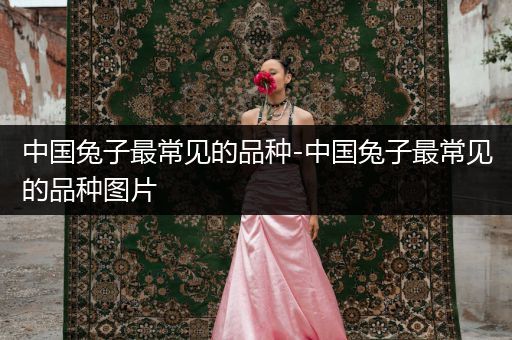 中國(guó)兔子最常見(jiàn)的品種-中國(guó)兔子最常見(jiàn)的品種圖片