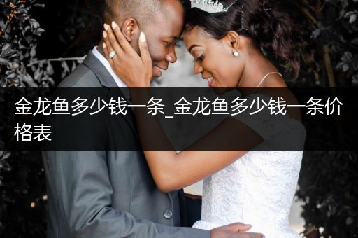 金龍魚(yú)多少錢(qián)一條_金龍魚(yú)多少錢(qián)一條價(jià)格表
