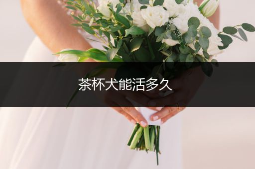 茶杯犬能活多久 