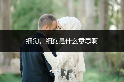 細(xì)狗，細(xì)狗是什么意思啊