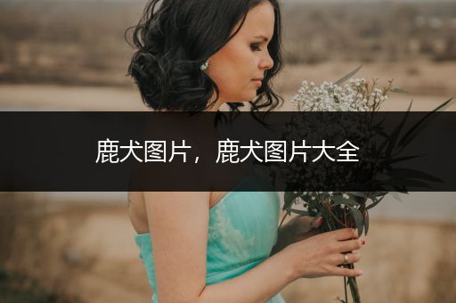 鹿犬圖片，鹿犬圖片大全