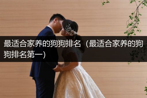 最適合家養(yǎng)的狗狗排名（最適合家養(yǎng)的狗狗排名第一）