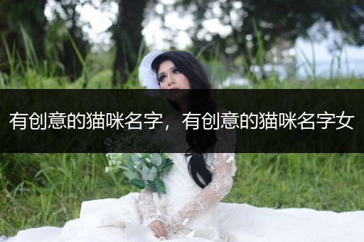 有創(chuàng)意的貓咪名字，有創(chuàng)意的貓咪名字女
