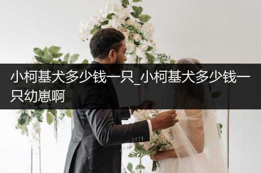 小柯基犬多少錢一只_小柯基犬多少錢一只幼崽啊