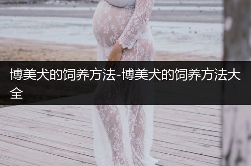 博美犬的飼養(yǎng)方法-博美犬的飼養(yǎng)方法大全