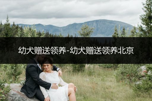 幼犬贈送領養(yǎng)-幼犬贈送領養(yǎng)北京