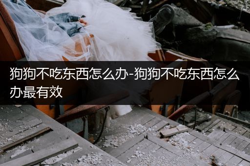 狗狗不吃東西怎么辦-狗狗不吃東西怎么辦最有效