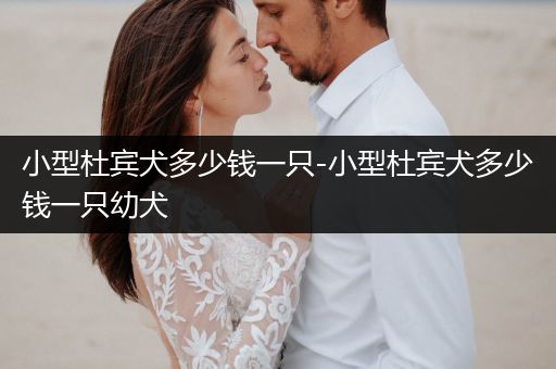 小型杜賓犬多少錢一只-小型杜賓犬多少錢一只幼犬