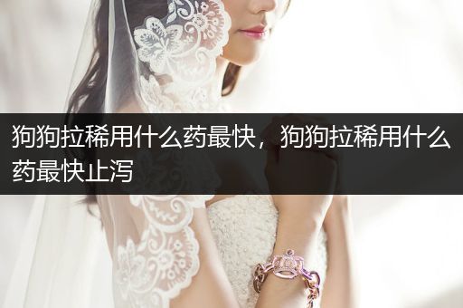 狗狗拉稀用什么藥最快，狗狗拉稀用什么藥最快止瀉