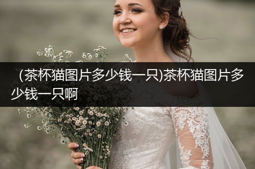 （茶杯貓圖片多少錢一只)茶杯貓圖片多少錢一只啊