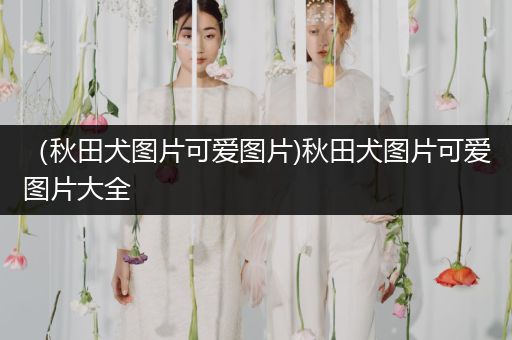 （秋田犬圖片可愛圖片)秋田犬圖片可愛圖片大全