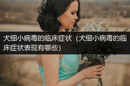 犬細(xì)小病毒的臨床癥狀（犬細(xì)小病毒的臨床癥狀表現(xiàn)有哪些）