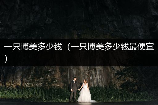 一只博美多少錢（一只博美多少錢最便宜）