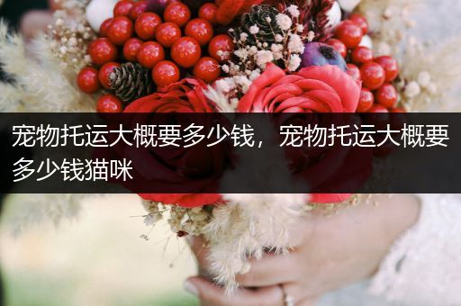 寵物托運大概要多少錢，寵物托運大概要多少錢貓咪