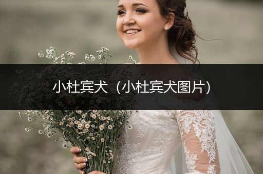 小杜賓犬（小杜賓犬圖片）