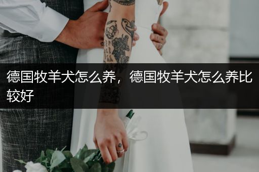 德國(guó)牧羊犬怎么養(yǎng)，德國(guó)牧羊犬怎么養(yǎng)比較好