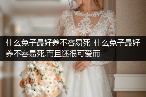 什么兔子最好養(yǎng)不容易死-什么兔子最好養(yǎng)不容易死,而且還很可愛而
